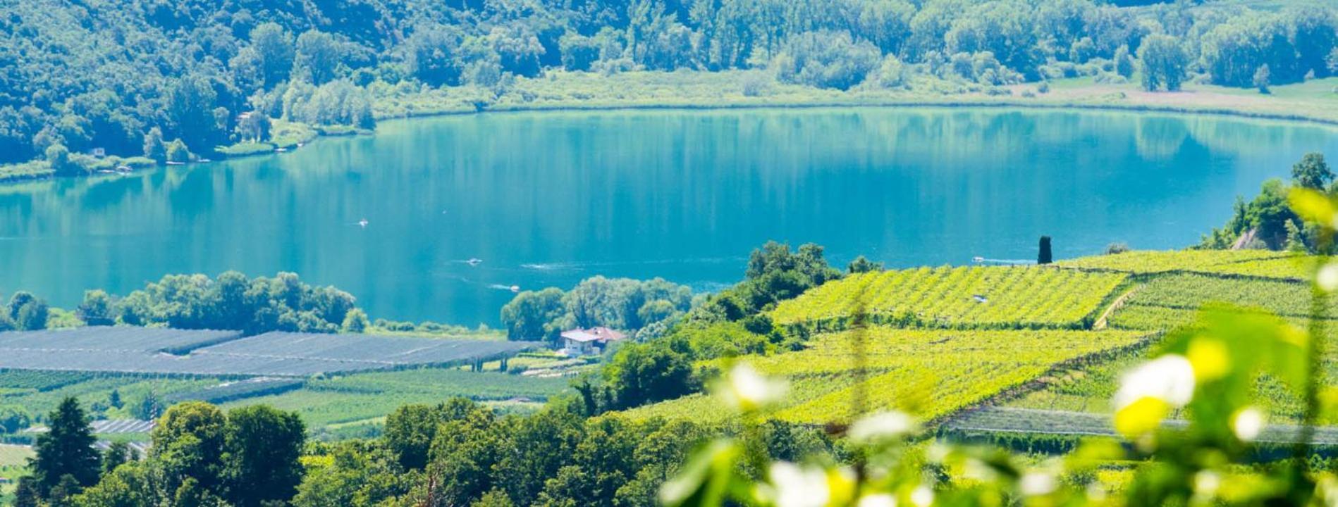 Apartmán Haus Pobitzer Caldaro Exteriér fotografie